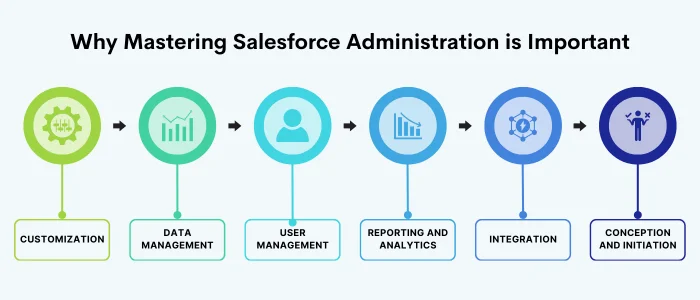 Why Mastering Salesforce Administration is Important